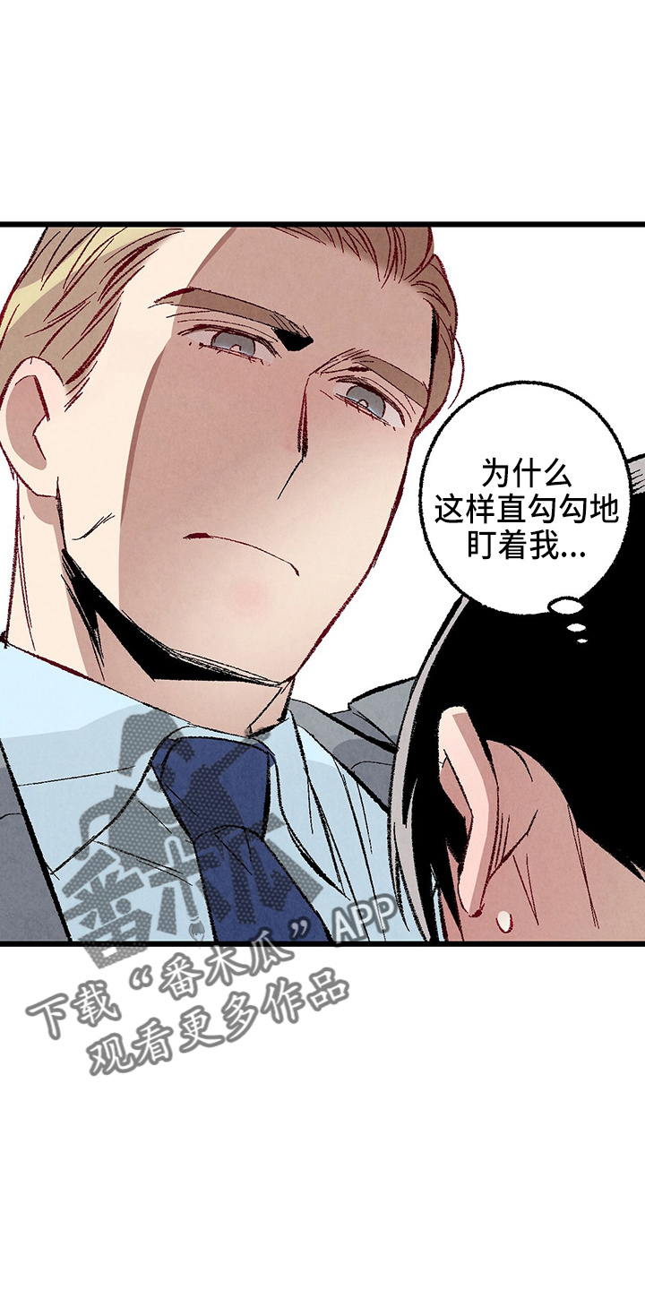 《完美伴侣》第96章【第二季】吓到 第7页