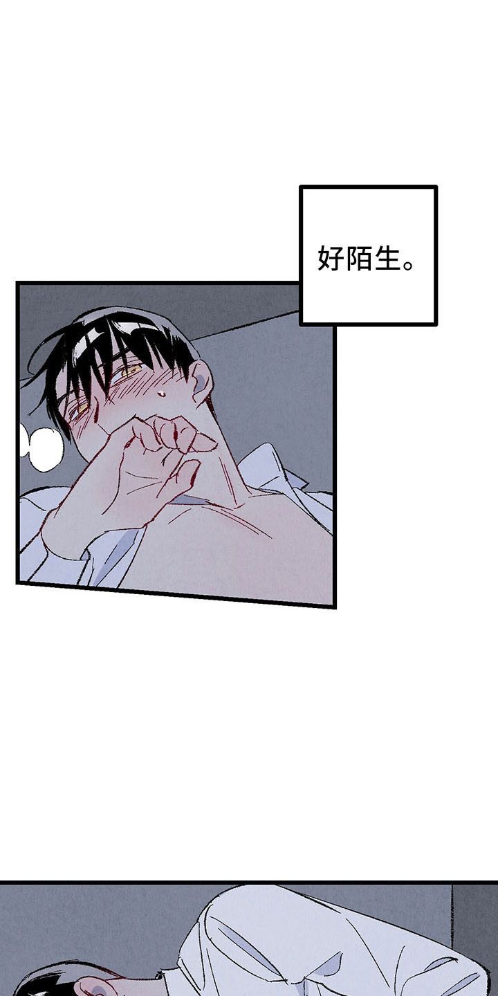 《完美伴侣》第98章【第二季】好陌生 第34页