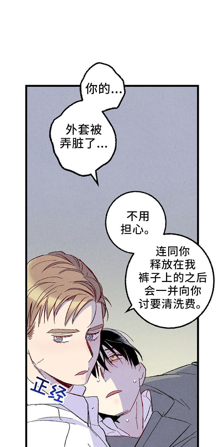 《完美伴侣》第99章【第二季】捉弄人 第12页