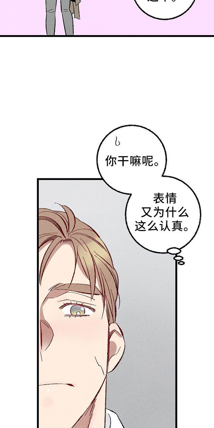 《完美伴侣》第99章【第二季】捉弄人 第18页