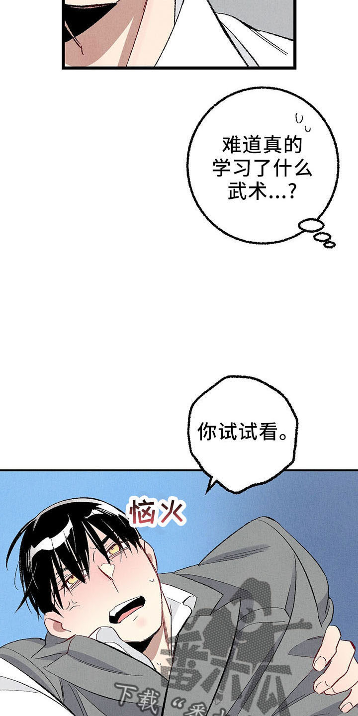 《完美伴侣》第99章【第二季】捉弄人 第19页