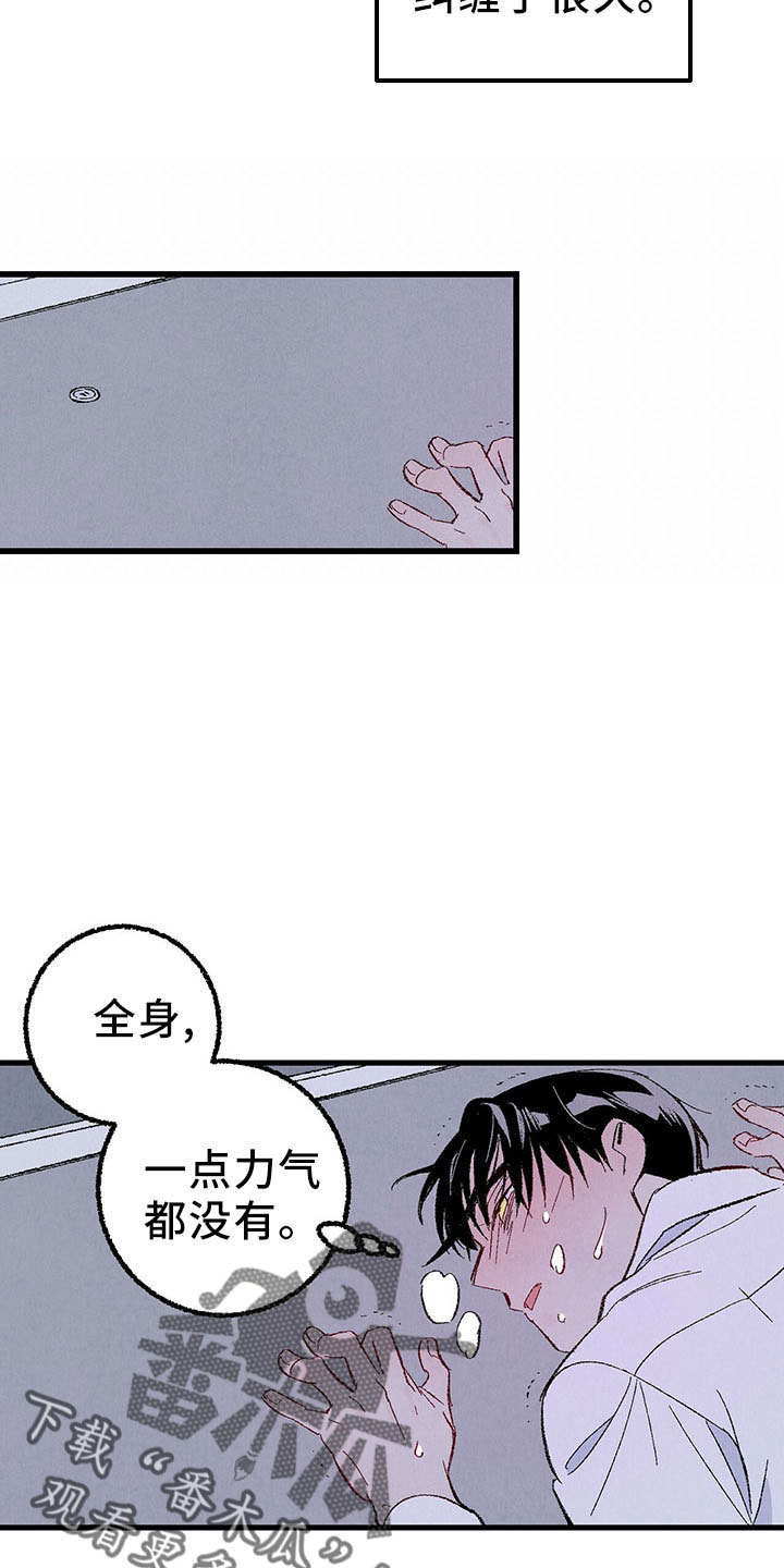 《完美伴侣》第99章【第二季】捉弄人 第9页