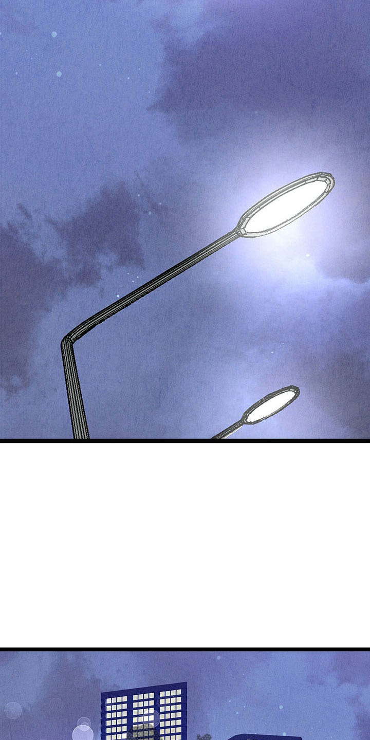 《完美伴侣》第100章【第二季】去你家 第16页