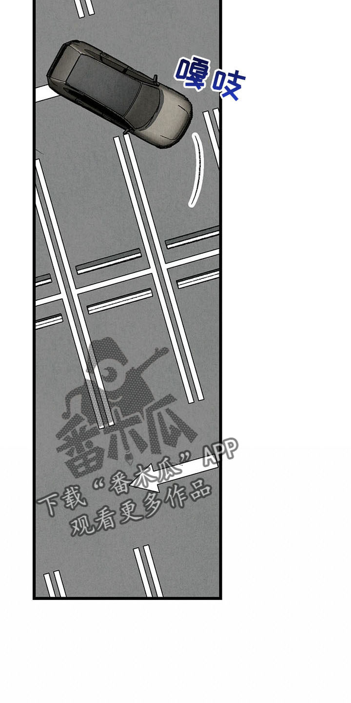 《完美伴侣》第100章【第二季】去你家 第7页