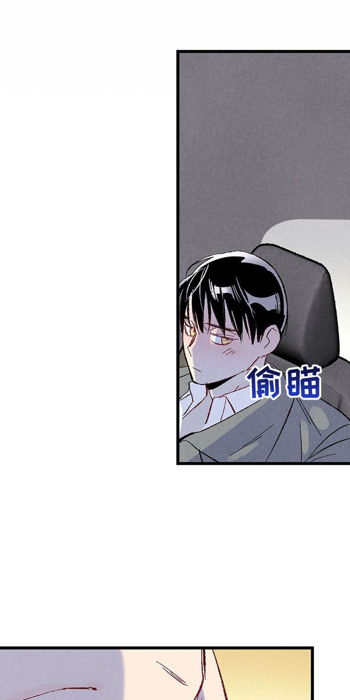 《完美伴侣》第100章【第二季】去你家 第8页