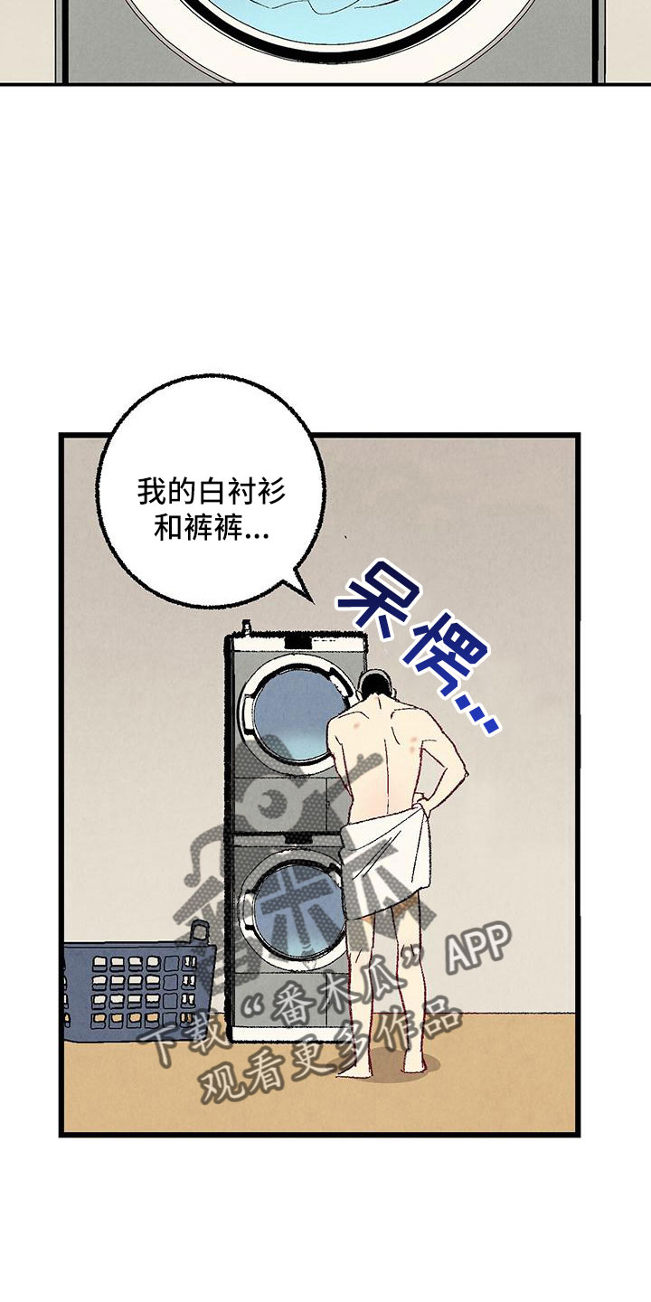 《完美伴侣》第101章【第二季】好香 第11页