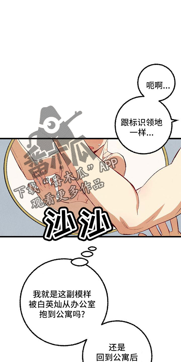 《完美伴侣》第101章【第二季】好香 第7页