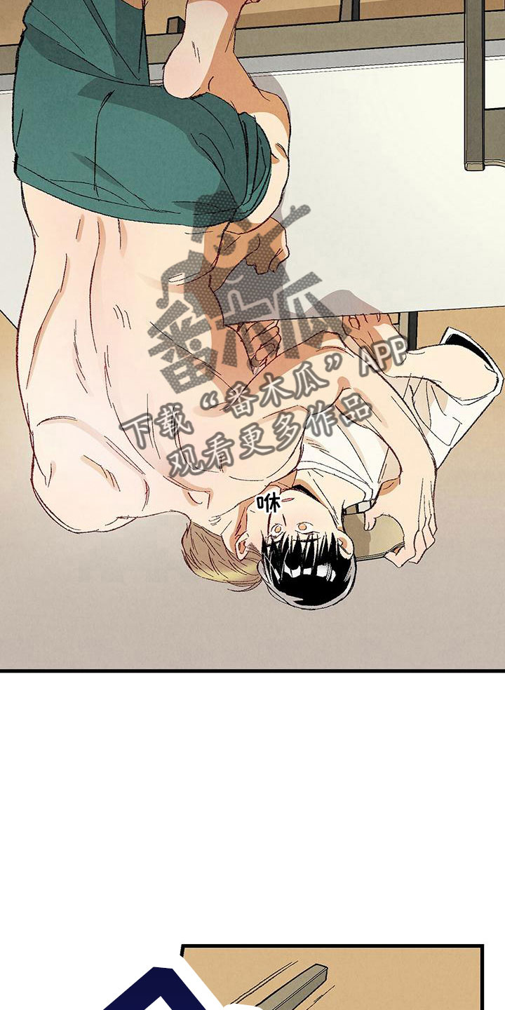 《完美伴侣》第103章【第二季】这是谁 第3页