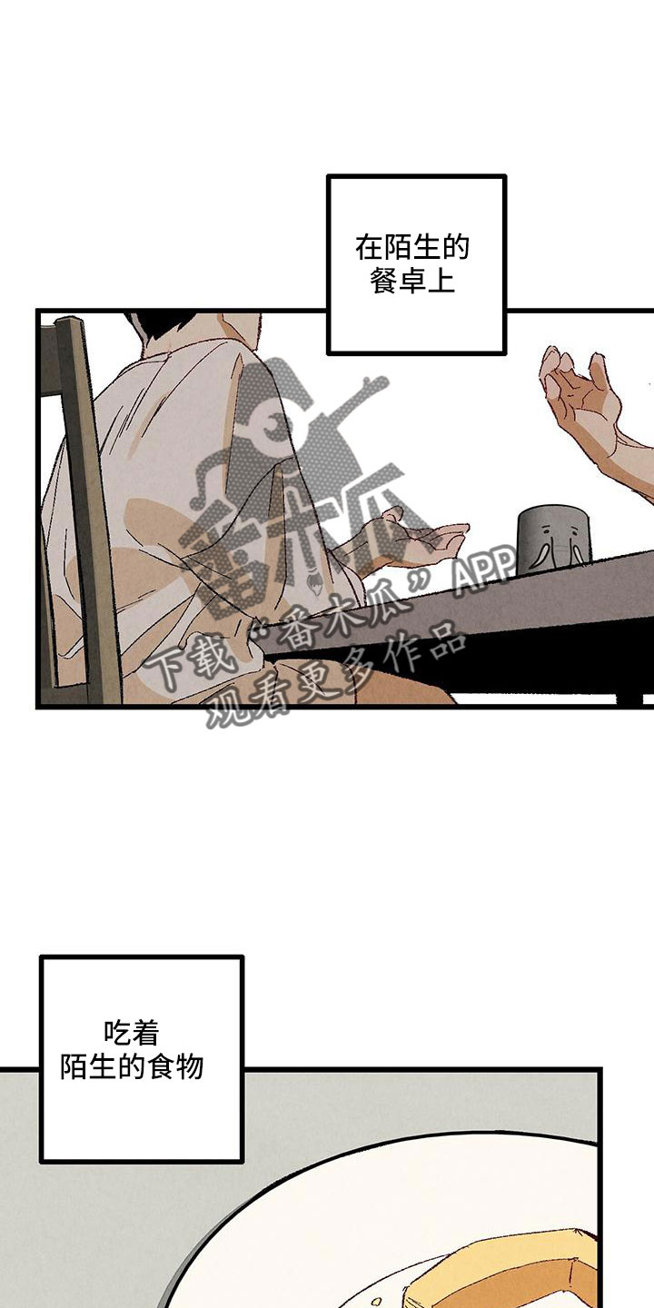 《完美伴侣》第102章【第二季】诱人 第12页