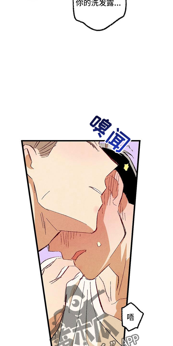 《完美伴侣》第102章【第二季】诱人 第21页