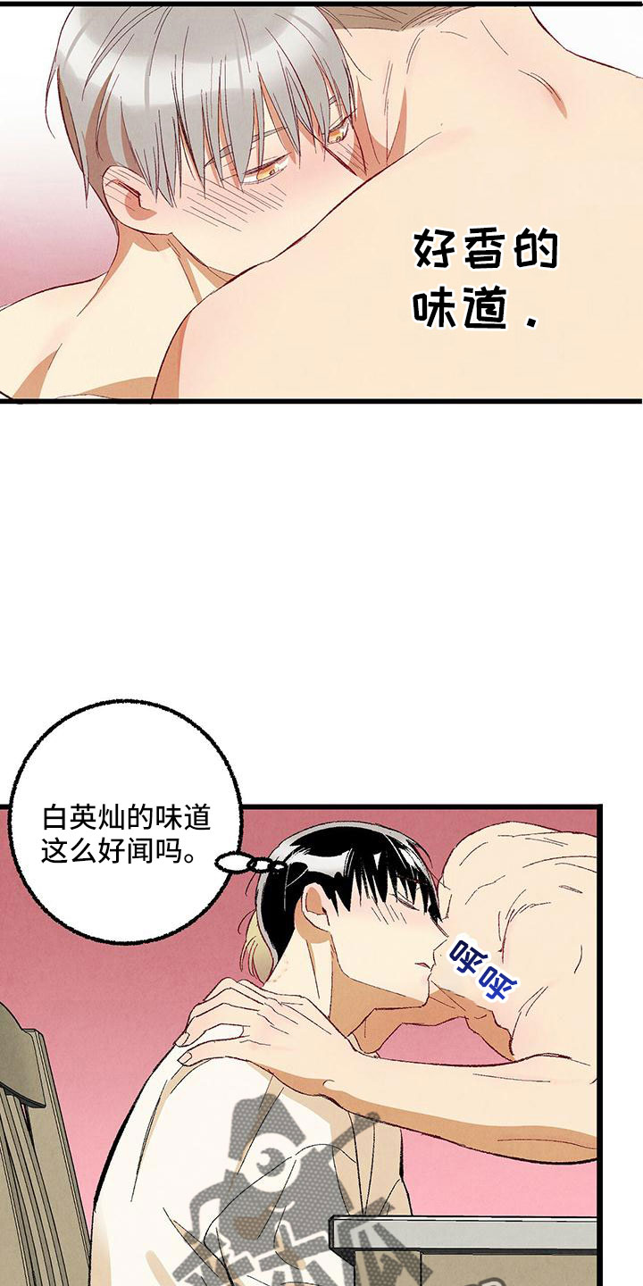《完美伴侣》第102章【第二季】诱人 第25页