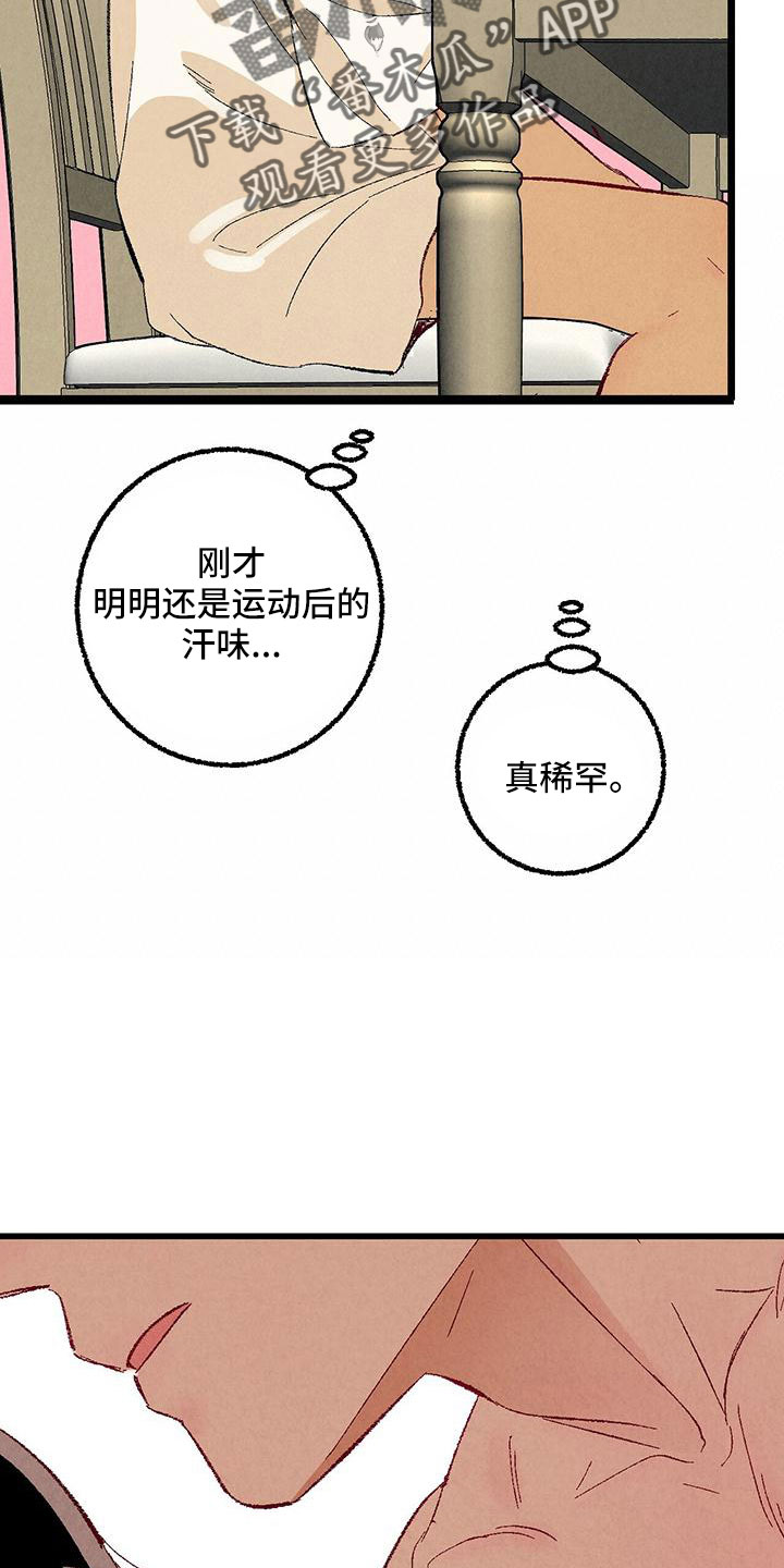 《完美伴侣》第102章【第二季】诱人 第26页