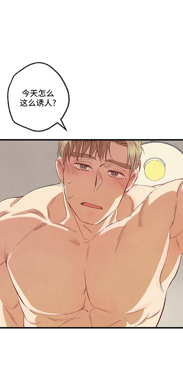 《完美伴侣》第102章【第二季】诱人 第28页