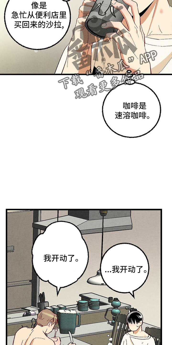 《完美伴侣》第102章【第二季】诱人 第2页