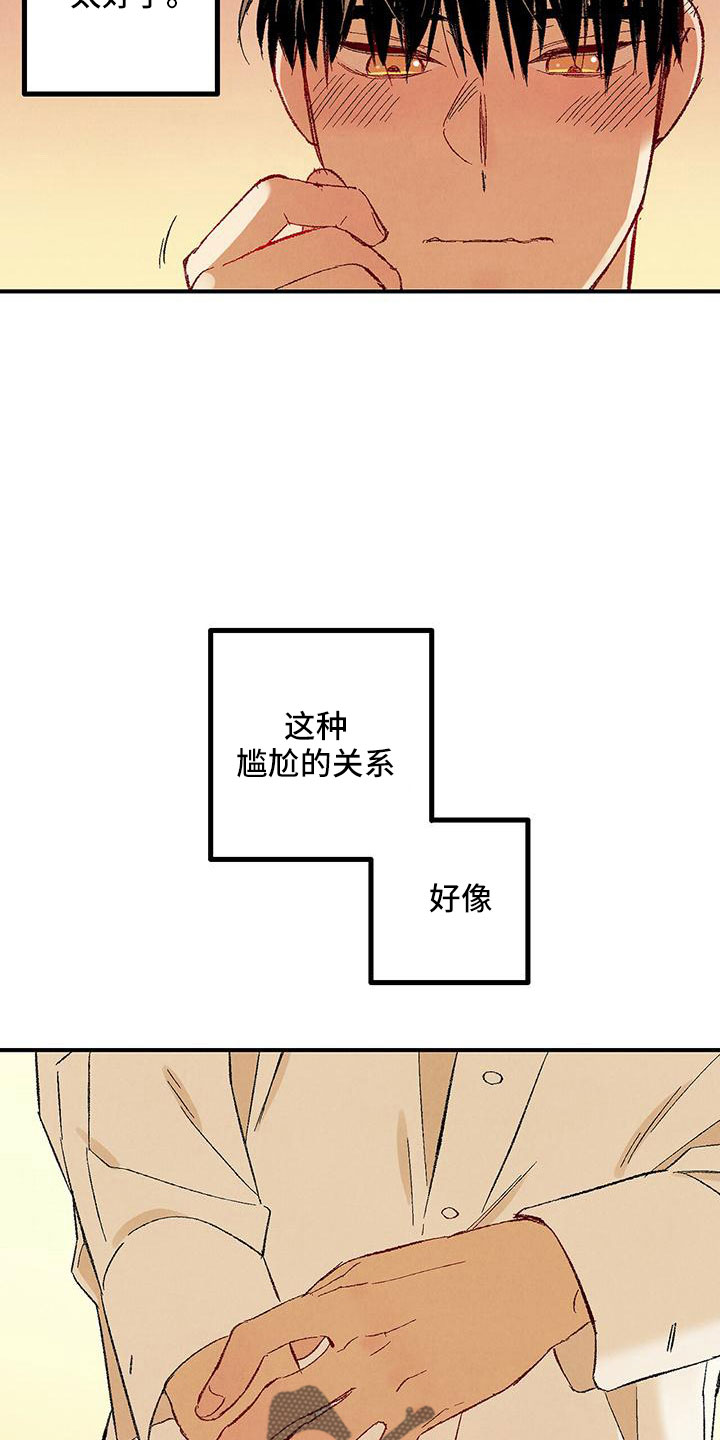 《完美伴侣》第104章【第二季】还没结束 第26页