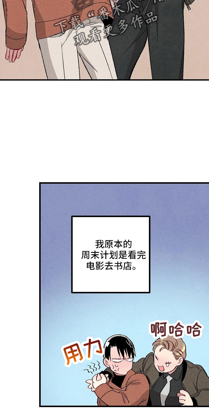 《完美伴侣》第104章【第二季】还没结束 第33页