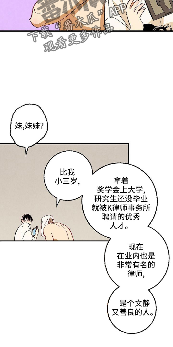 《完美伴侣》第104章【第二季】还没结束 第3页