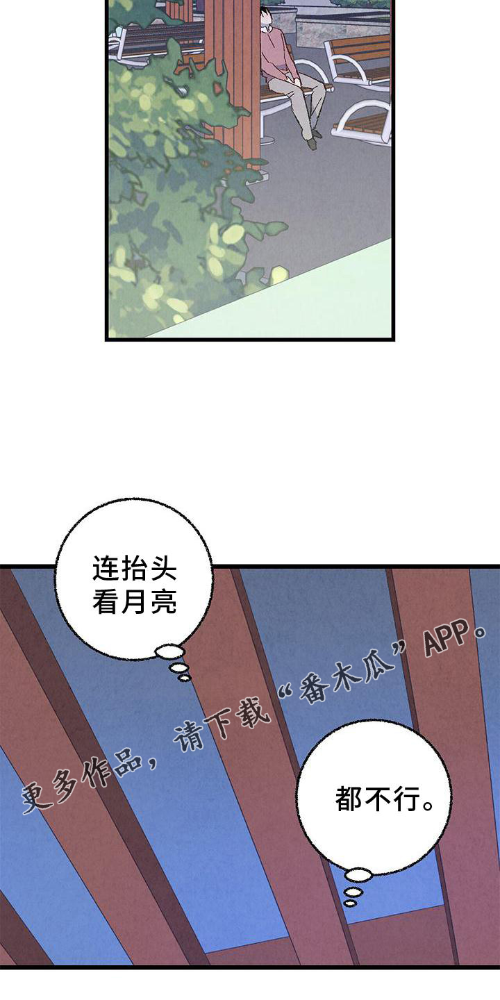 《完美伴侣》第110章【第二季】好的地方 第13页