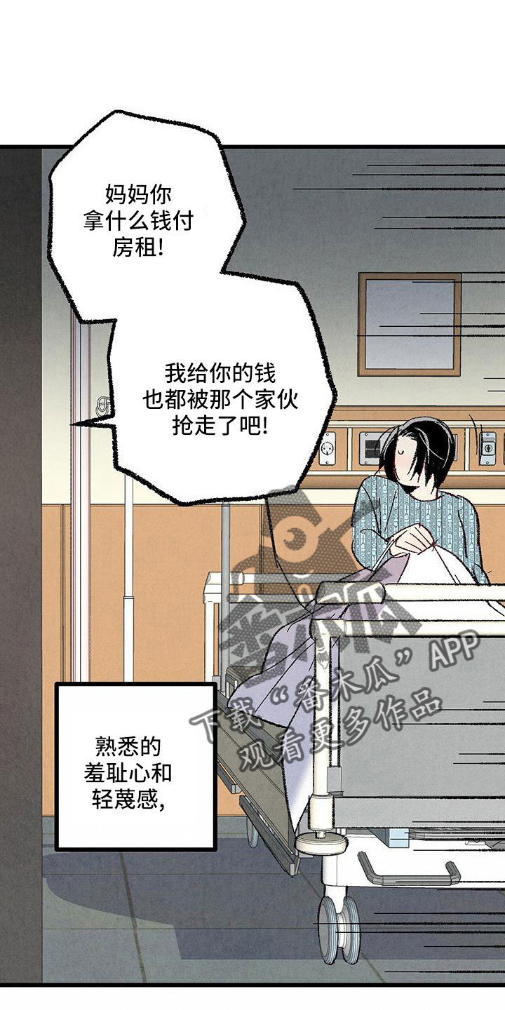 《完美伴侣》第107章【第二季】不要 第12页