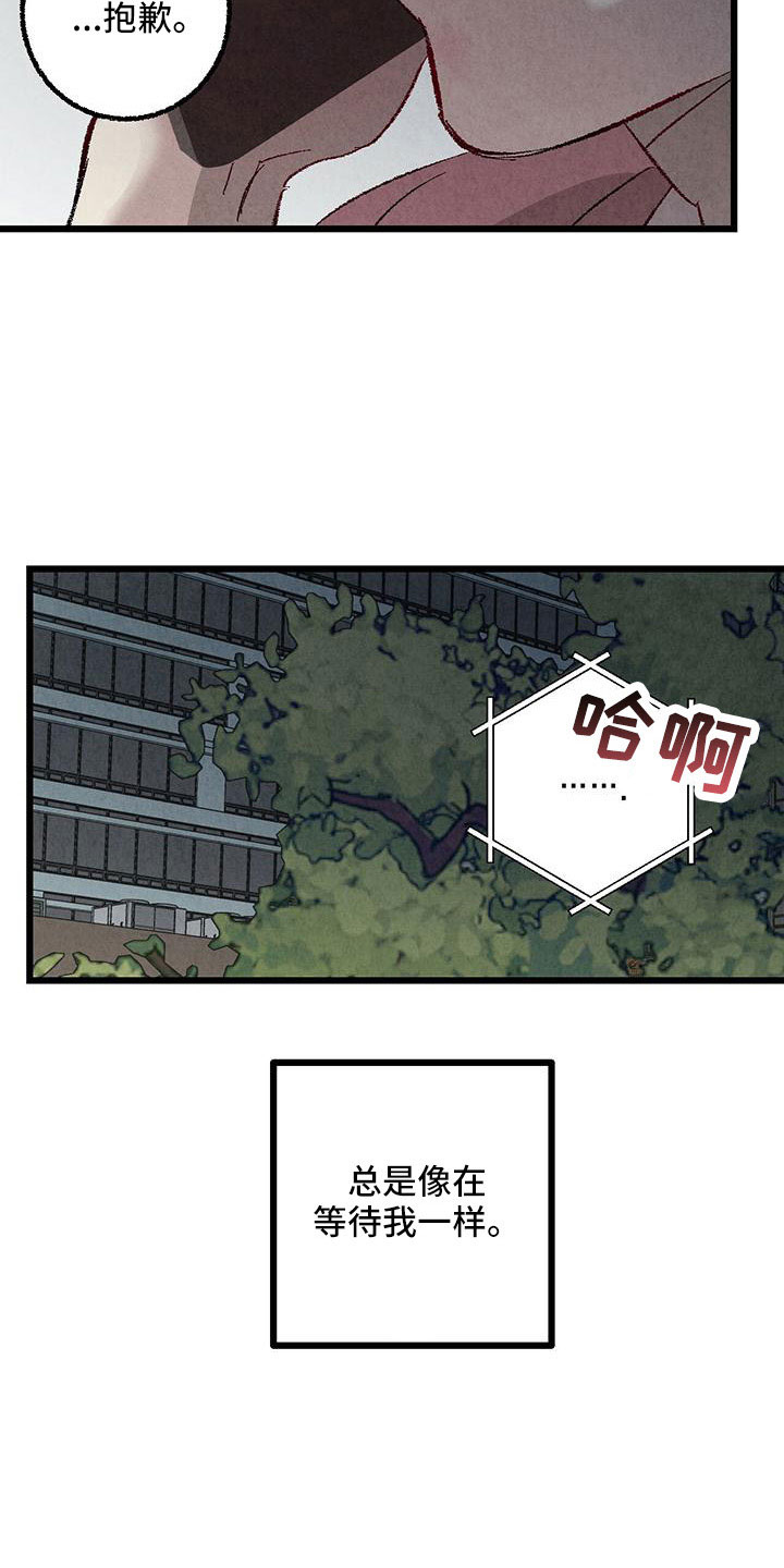 《完美伴侣》第107章【第二季】不要 第18页