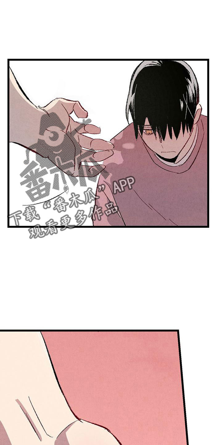 《完美伴侣》第107章【第二季】不要 第21页