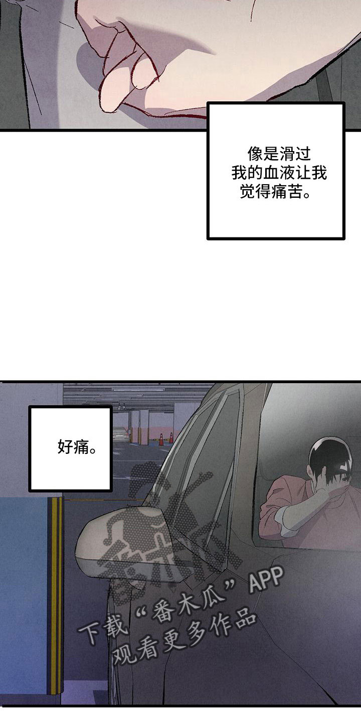 《完美伴侣》第107章【第二季】不要 第27页