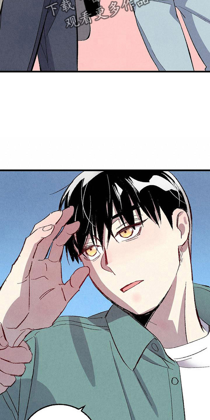 《完美伴侣》第107章【第二季】不要 第3页