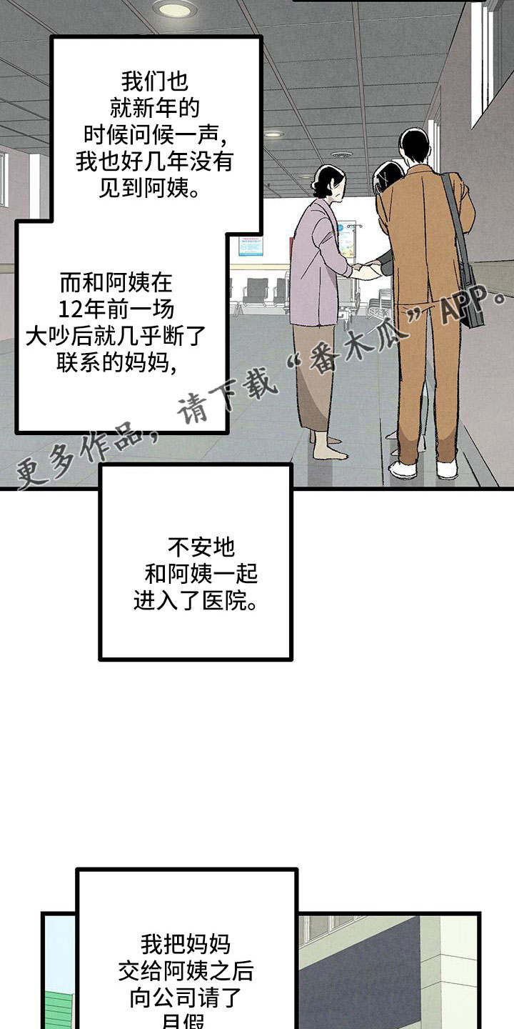 《完美伴侣》第106章【第二季】没事吧 第15页