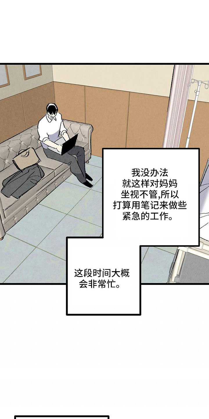 《完美伴侣》第106章【第二季】没事吧 第25页