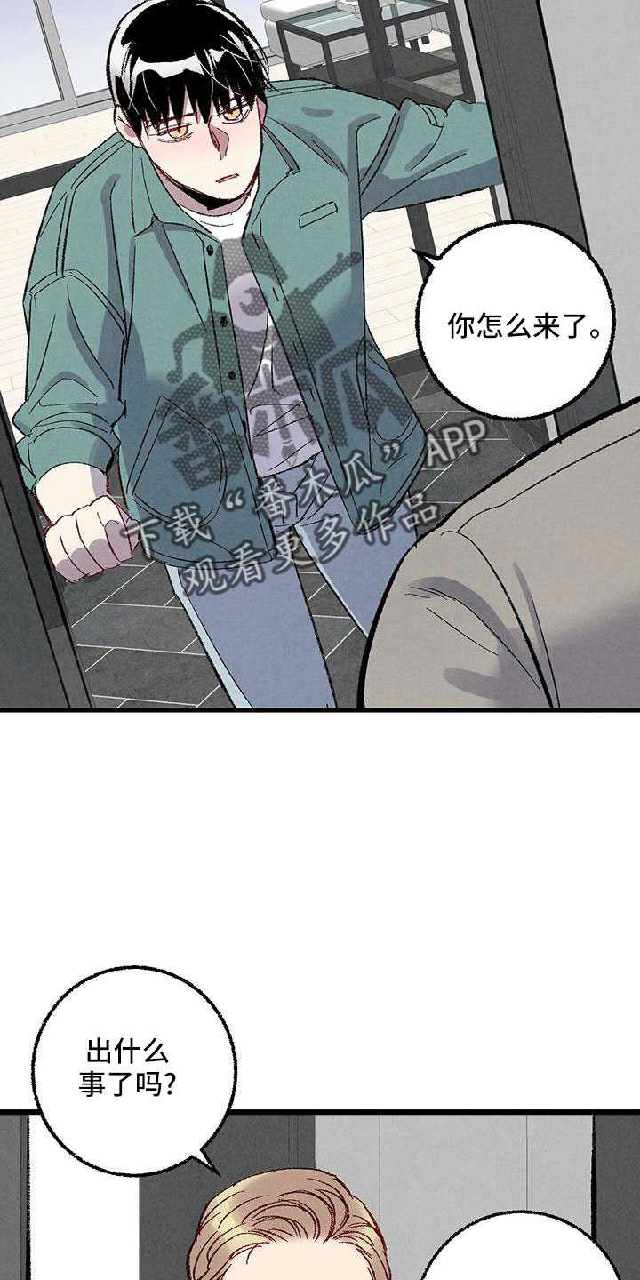 《完美伴侣》第106章【第二季】没事吧 第28页