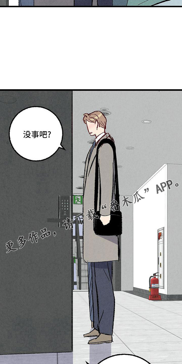 《完美伴侣》第106章【第二季】没事吧 第30页
