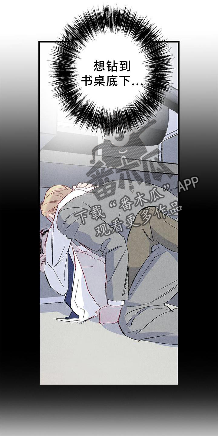 《完美伴侣》第115章【第二季】你是谁 第3页