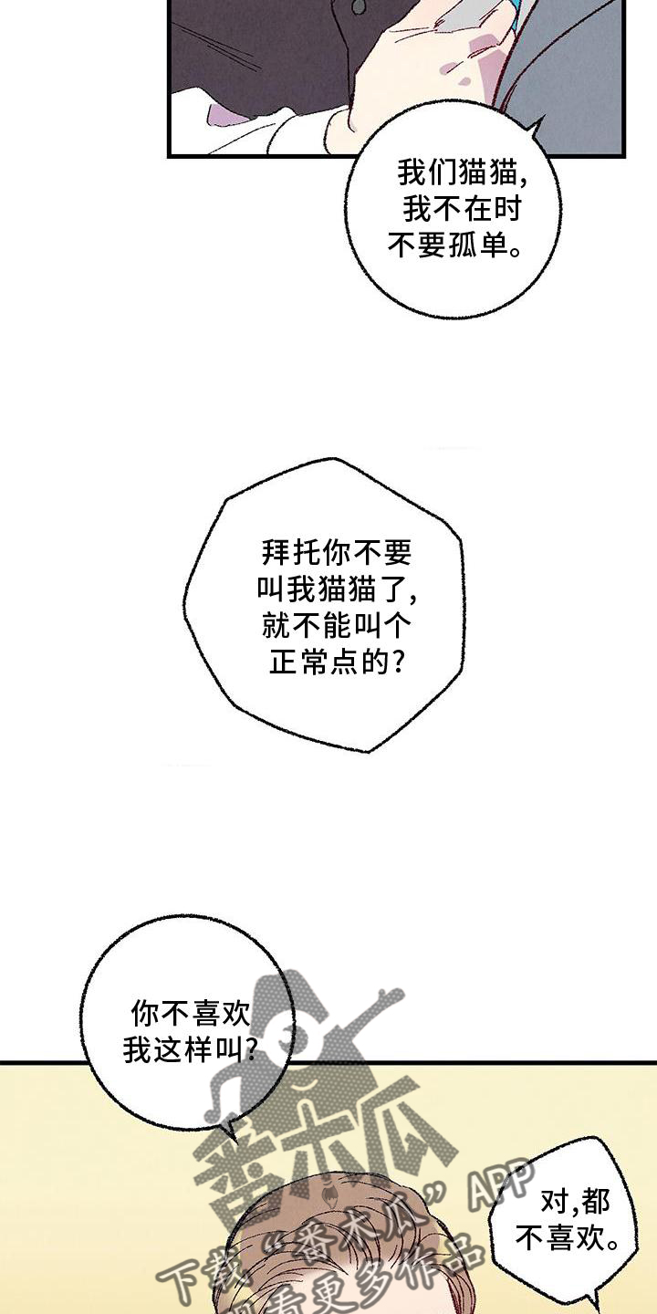 《完美伴侣》第115章【第二季】你是谁 第8页