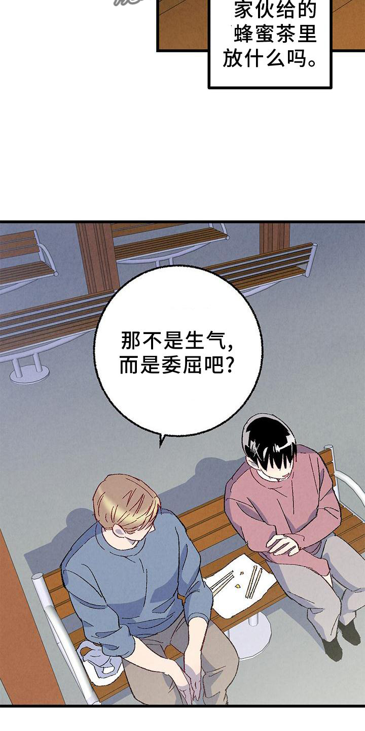 《完美伴侣》第111章【第二季】好 第14页