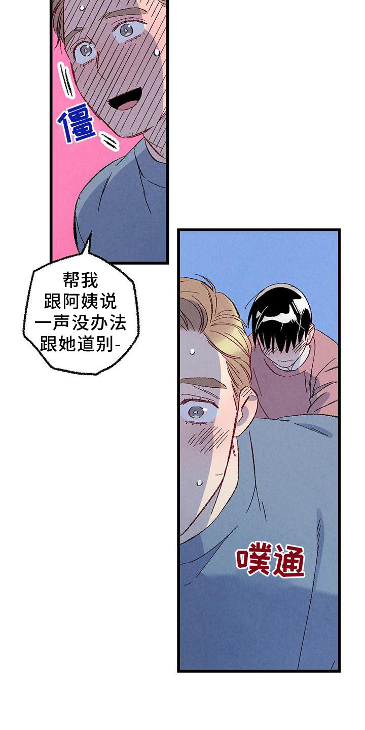 《完美伴侣》第111章【第二季】好 第21页