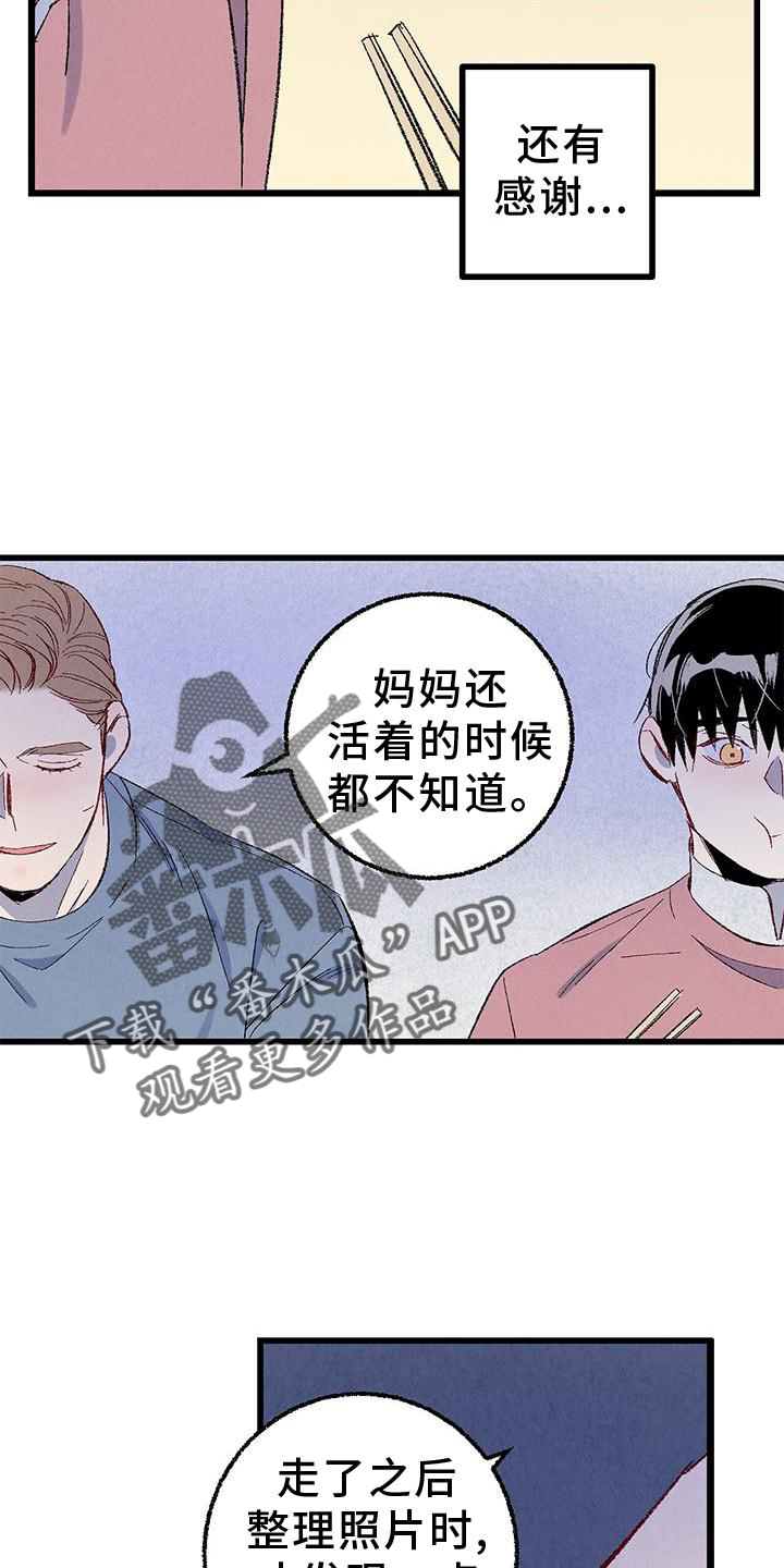 《完美伴侣》第111章【第二季】好 第2页
