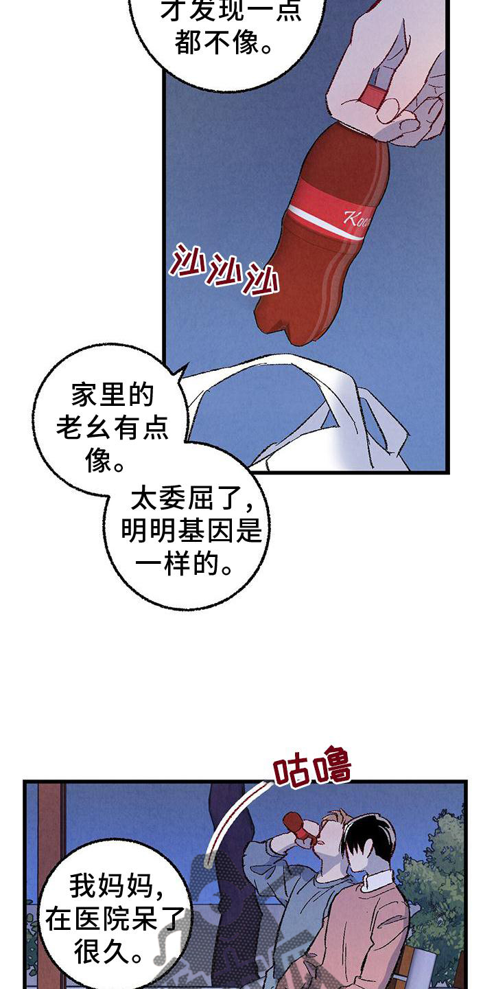 《完美伴侣》第111章【第二季】好 第3页