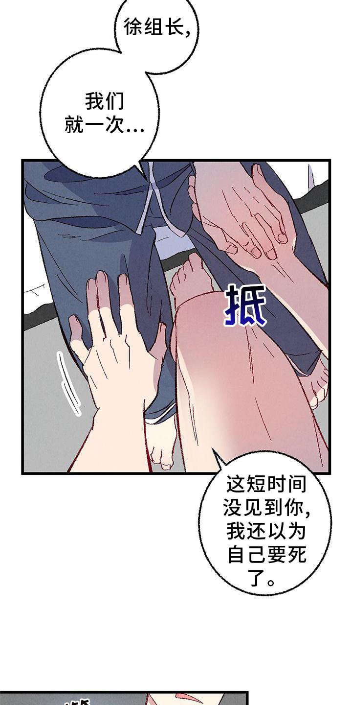 《完美伴侣》第113章【第二季】愉快 第17页