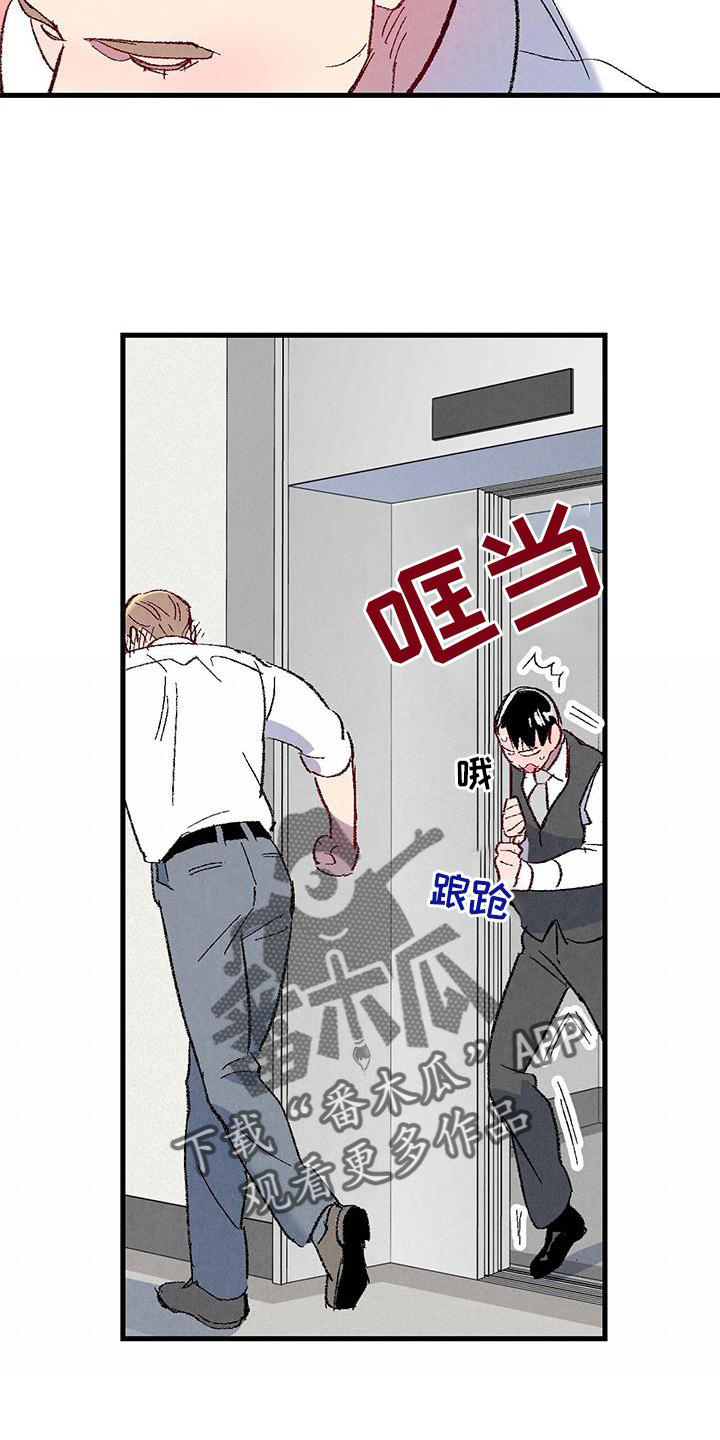 《完美伴侣》第114章【第二季】猫猫 第15页