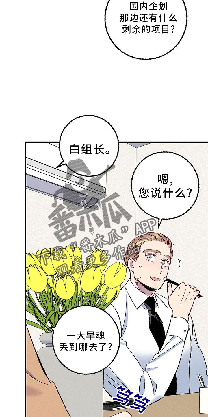 《完美伴侣》第114章【第二季】猫猫 第17页