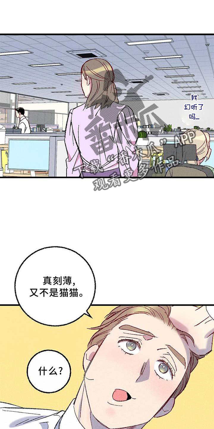 《完美伴侣》第114章【第二季】猫猫 第22页