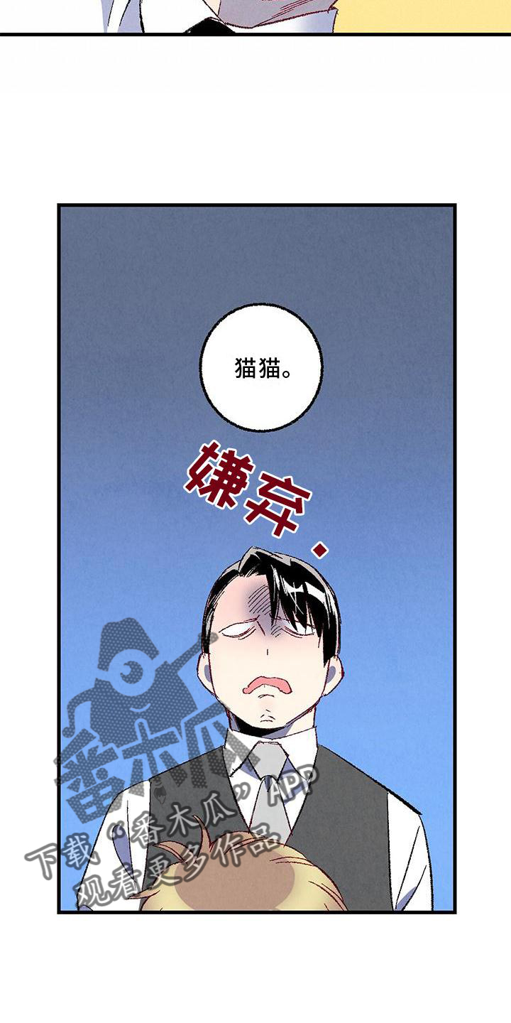 《完美伴侣》第114章【第二季】猫猫 第23页