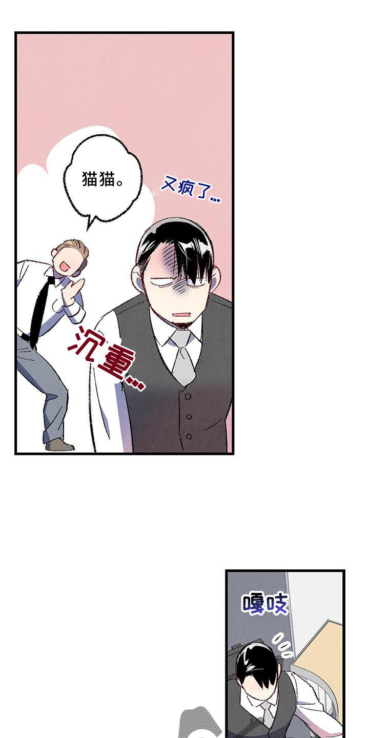 《完美伴侣》第114章【第二季】猫猫 第24页