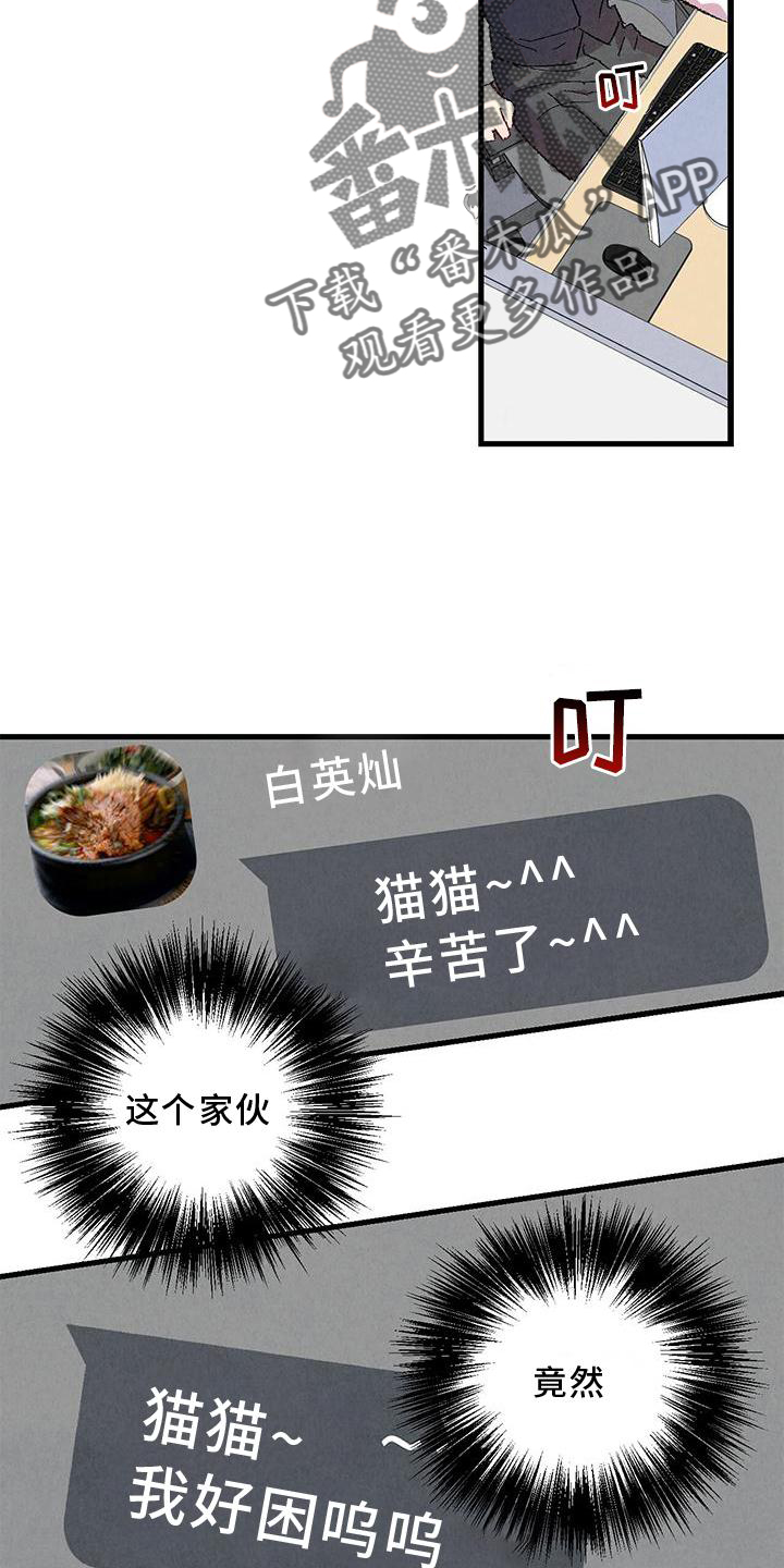 《完美伴侣》第114章【第二季】猫猫 第25页