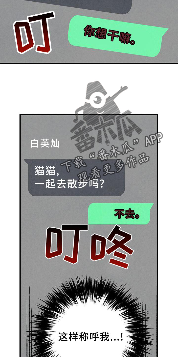 《完美伴侣》第114章【第二季】猫猫 第26页