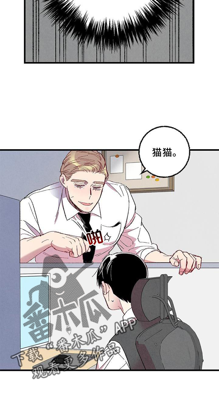 《完美伴侣》第114章【第二季】猫猫 第27页