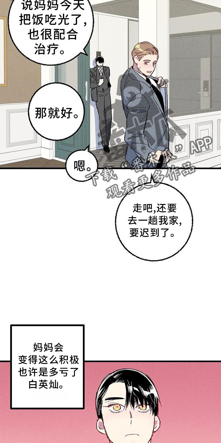 《完美伴侣》第114章【第二季】猫猫 第2页
