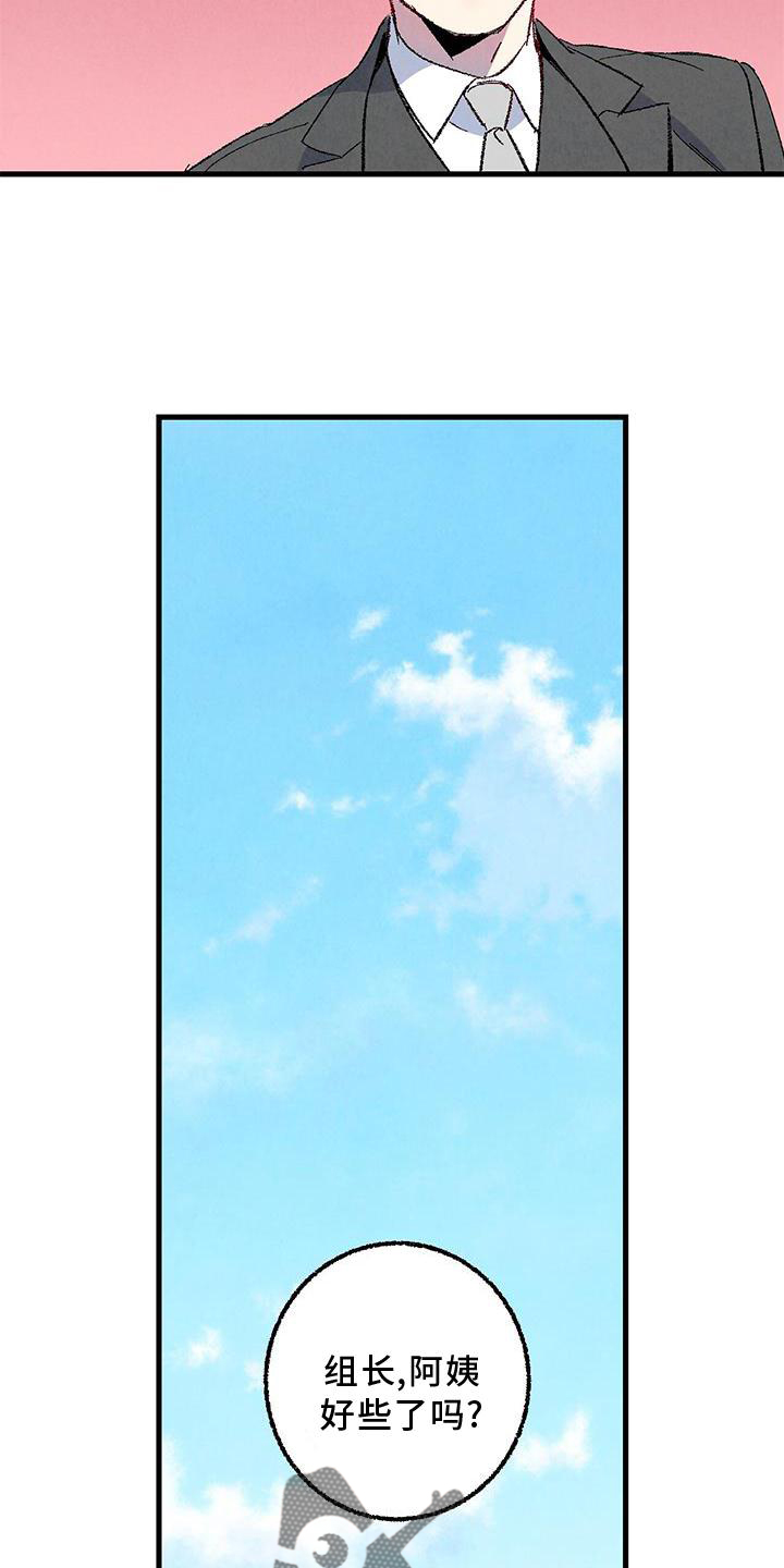《完美伴侣》第114章【第二季】猫猫 第3页
