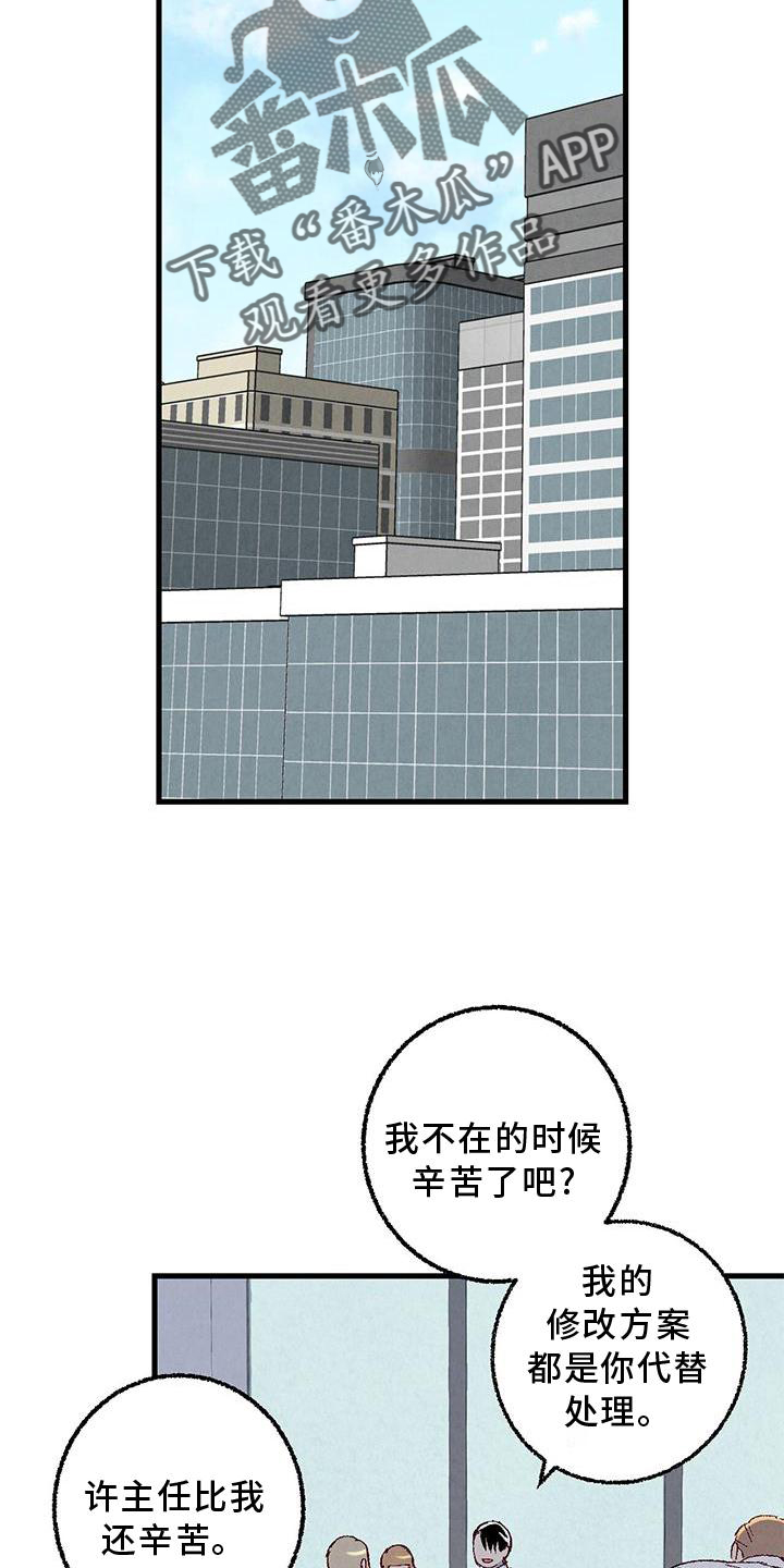 《完美伴侣》第114章【第二季】猫猫 第4页