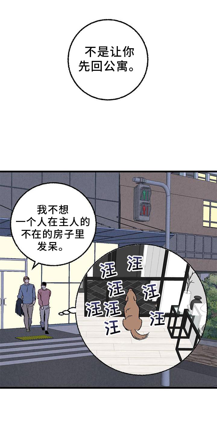 《完美伴侣》第112章【第二季】疲惫 第6页